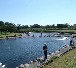 朝霞ガーデン 釣果