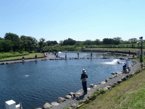 朝霞ガーデン 釣果