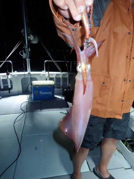 Aquanaut(アクアノート) 釣果