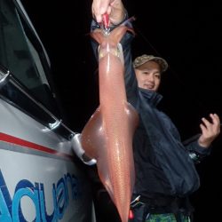 Aquanaut(アクアノート) 釣果