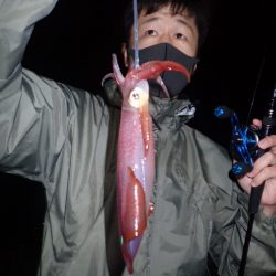 Aquanaut(アクアノート) 釣果