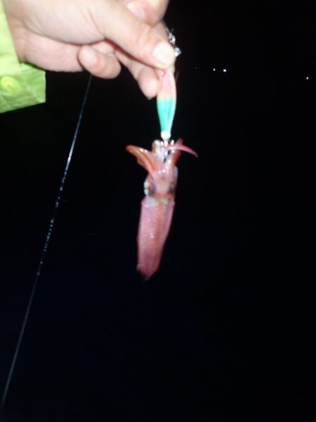 Aquanaut(アクアノート) 釣果