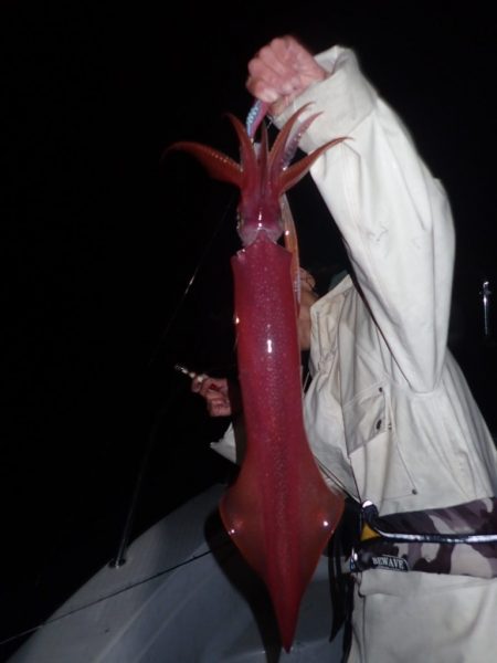 Aquanaut（アクアノート） 釣果