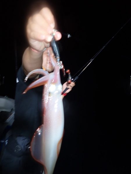 Aquanaut(アクアノート) 釣果