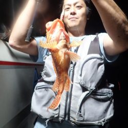 Aquanaut(アクアノート) 釣果