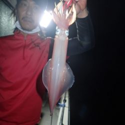 Aquanaut(アクアノート) 釣果