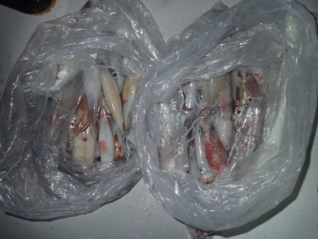 Aquanaut(アクアノート) 釣果