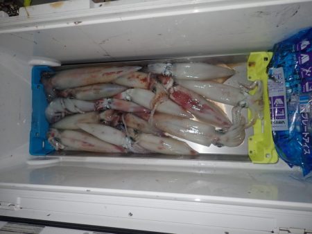 Aquanaut(アクアノート) 釣果