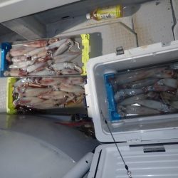 Aquanaut(アクアノート) 釣果