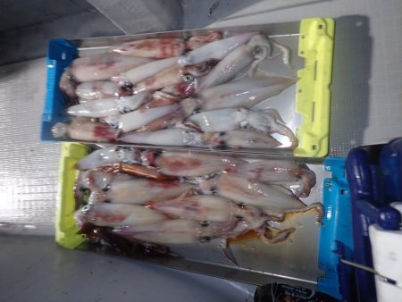 Aquanaut(アクアノート) 釣果