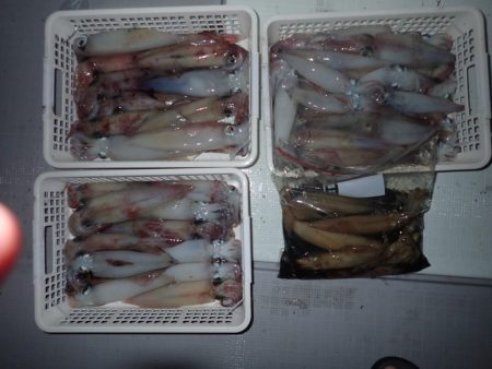 Aquanaut(アクアノート) 釣果