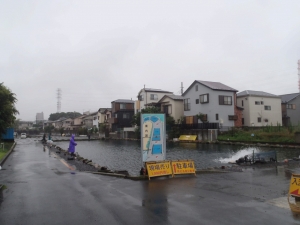 朝霞ガーデン 釣果