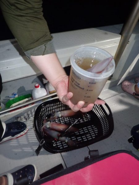 Aquanaut(アクアノート) 釣果