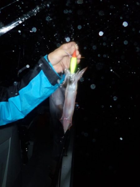 Aquanaut（アクアノート） 釣果