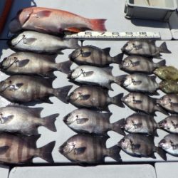 磯部釣船 直栄丸 釣果