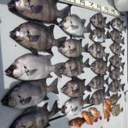 磯部釣船 直栄丸 釣果