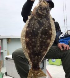 さぶろう丸 釣果