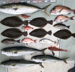 さぶろう丸 釣果