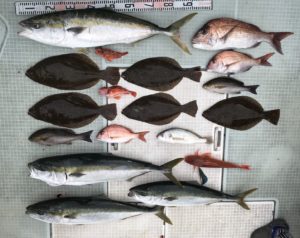 さぶろう丸 釣果