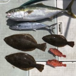 さぶろう丸 釣果