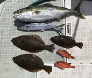 さぶろう丸 釣果