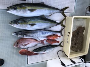 さぶろう丸 釣果