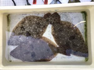 さぶろう丸 釣果