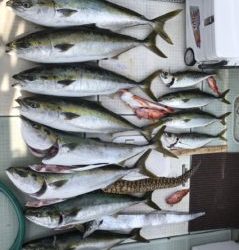 さぶろう丸 釣果