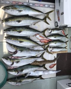さぶろう丸 釣果