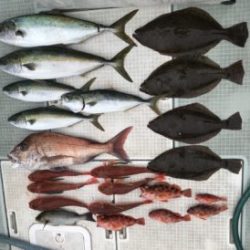 さぶろう丸 釣果