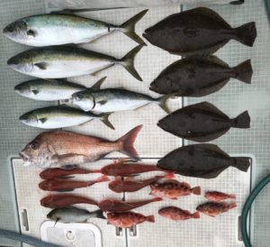 さぶろう丸 釣果