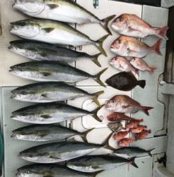 さぶろう丸 釣果