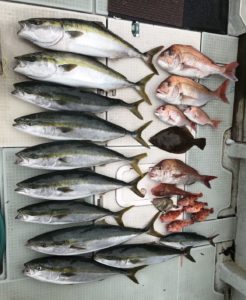 さぶろう丸 釣果