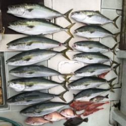 さぶろう丸 釣果