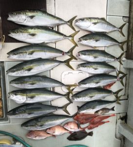 さぶろう丸 釣果