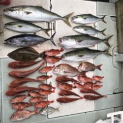 さぶろう丸 釣果