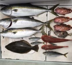 さぶろう丸 釣果