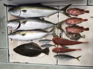 さぶろう丸 釣果