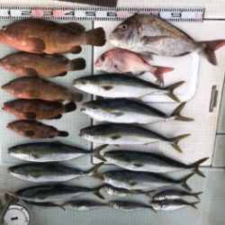 さぶろう丸 釣果