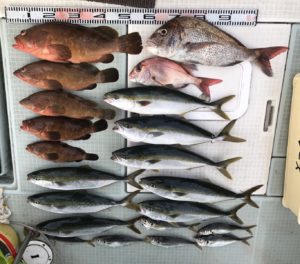 さぶろう丸 釣果
