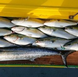 火遠理丸(ほおりまる) 釣果