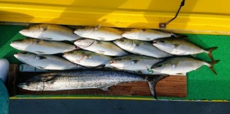 火遠理丸(ほおりまる) 釣果