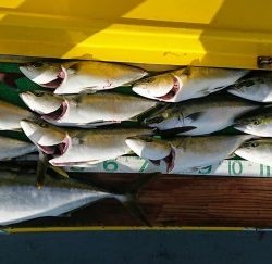 火遠理丸(ほおりまる) 釣果