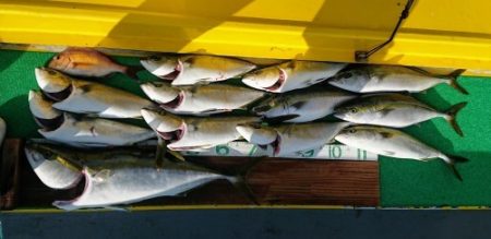 火遠理丸(ほおりまる) 釣果