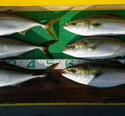 火遠理丸(ほおりまる) 釣果