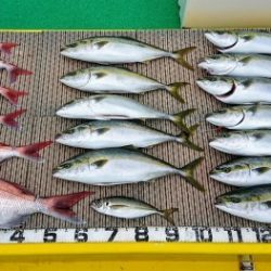 火遠理丸(ほおりまる) 釣果