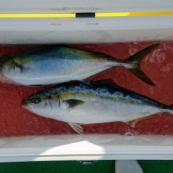 火遠理丸(ほおりまる) 釣果