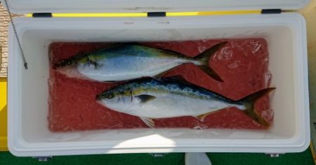 火遠理丸(ほおりまる) 釣果