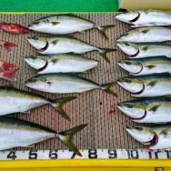 火遠理丸(ほおりまる) 釣果