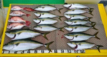 火遠理丸(ほおりまる) 釣果